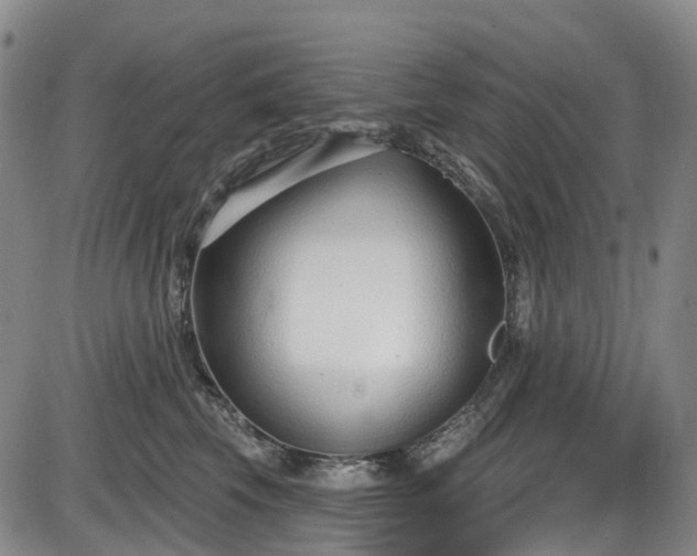 X0000086070569200703301109