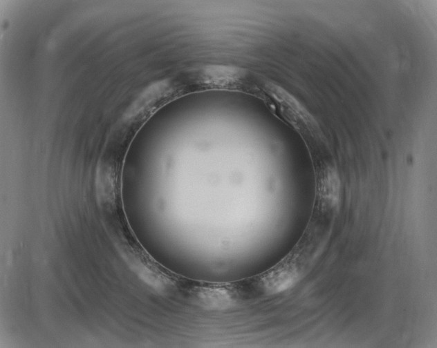 X0000086070572200703301109