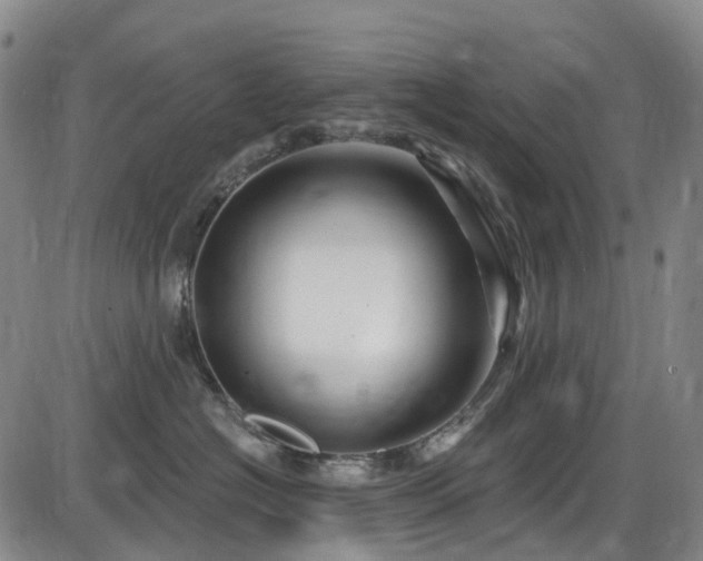 X0000086070574200703301109