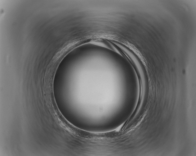 X0000086070577200703301109