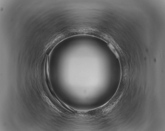 X0000086070585200703301108