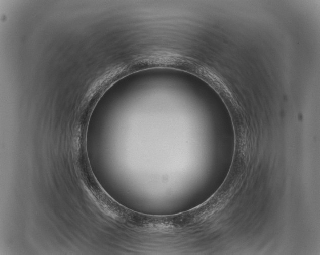 X0000086070586200703301108
