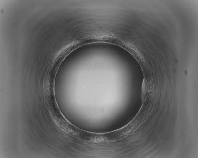 X0000086070587200703301108
