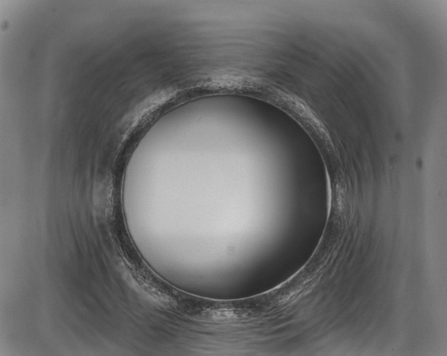 X0000086070588200703301108