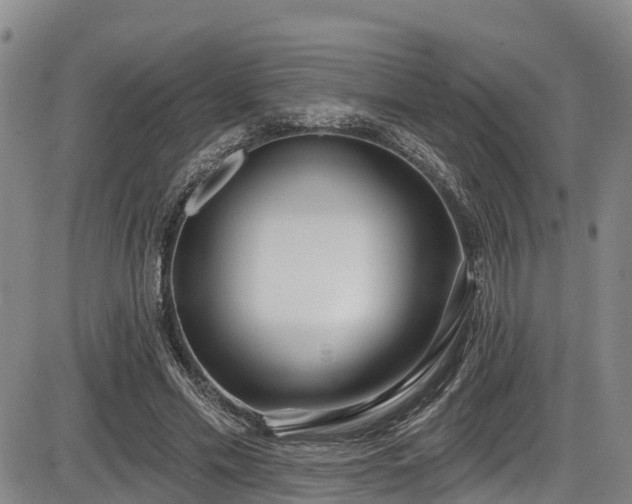 X0000086070589200703301108