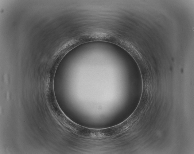 X0000086070591200703301108