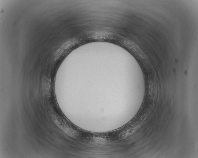 X0000086070592200703301108