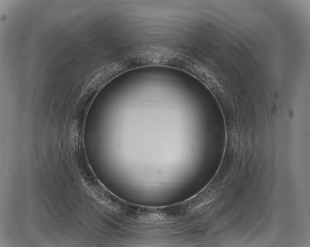 X0000086070594200703301108