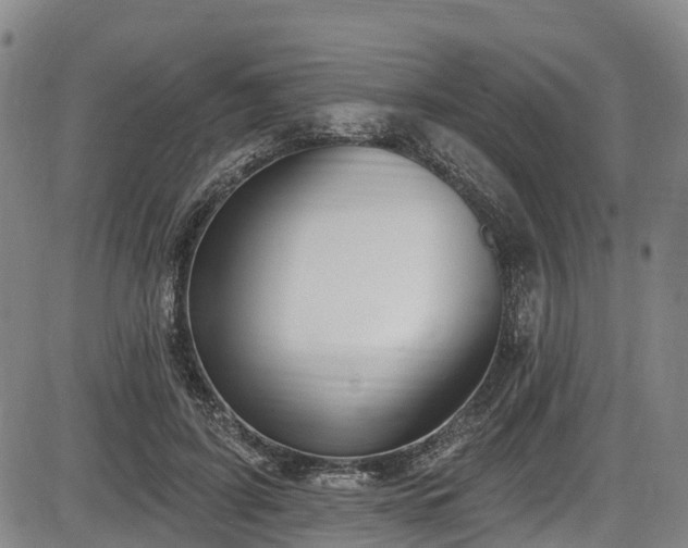X0000086070595200703301108
