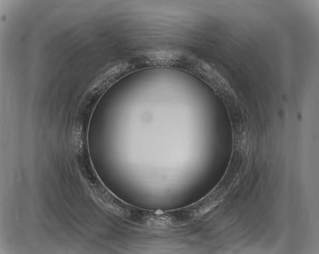 X0000086070599200703301108