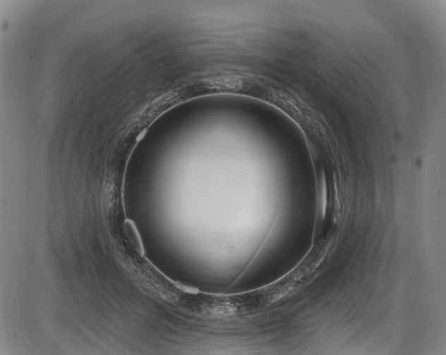 X0000086070600200703301108