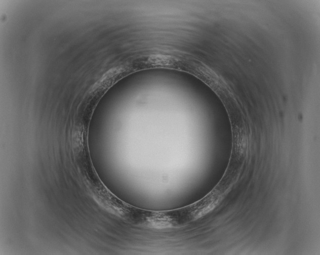 X0000086070603200703301108