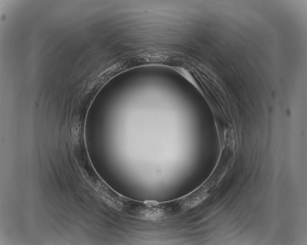 X0000086070604200703301108