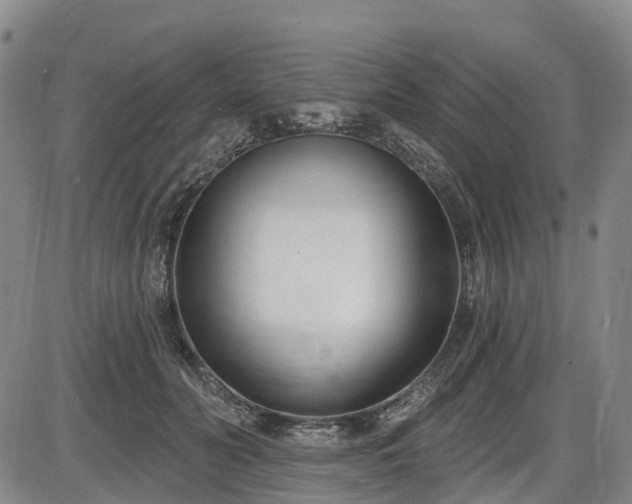 X0000086070606200703301108