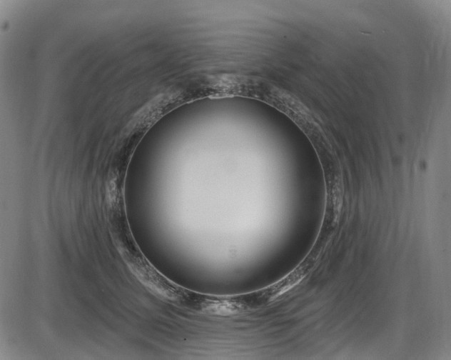 X0000086070611200703301108