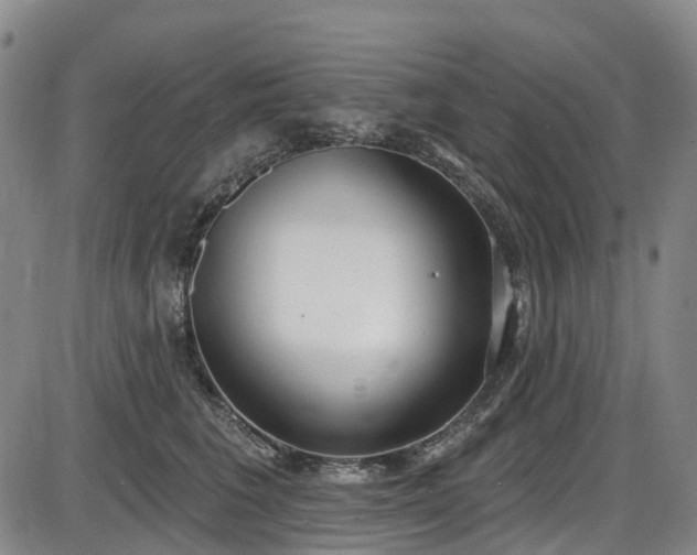 X0000086070613200703301108