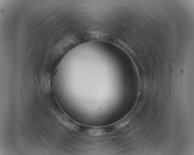 X0000086070615200703301108