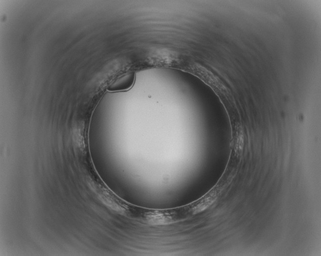 X0000086070616200703301108