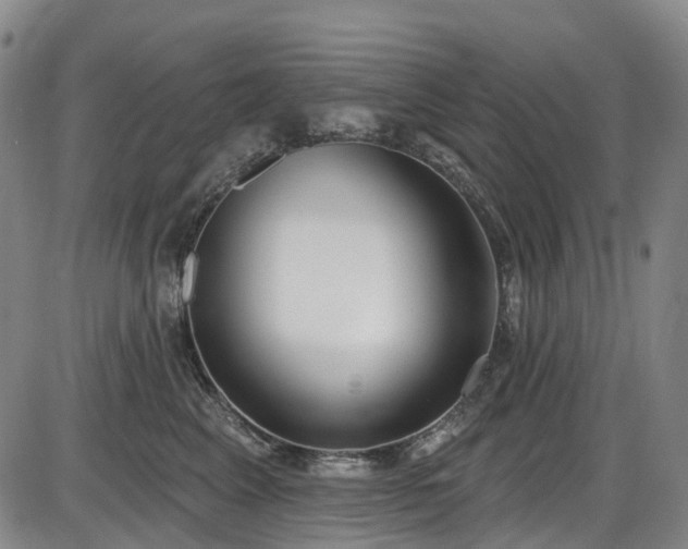 X0000086070617200703301108