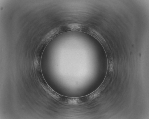 X0000086070618200703301108