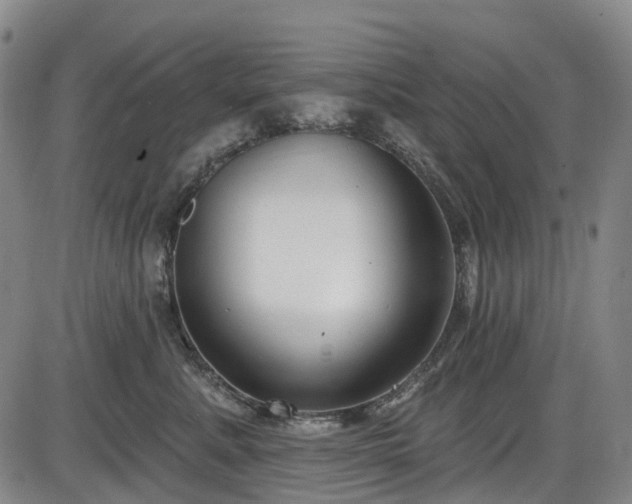 X0000086070619200703301108