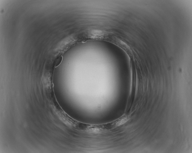 X0000086070620200703301108
