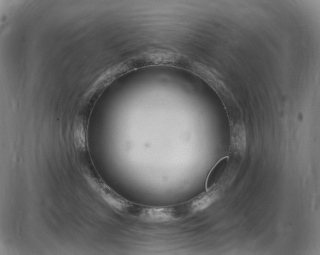 X0000086070622200703301108