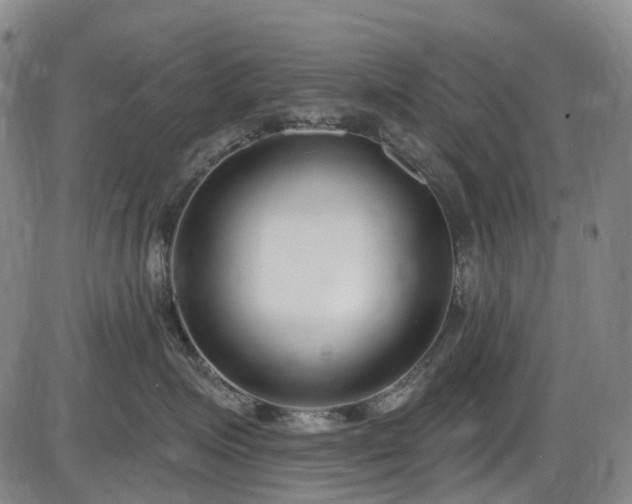 X0000086070623200703301108