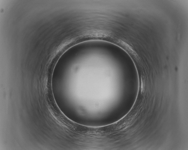 X0000086070627200703301107