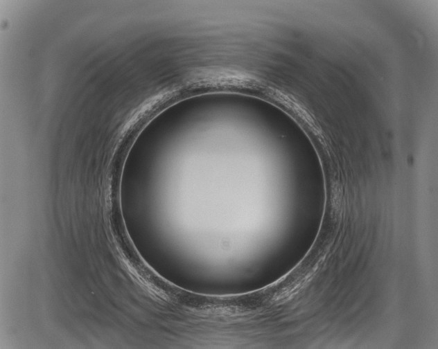 X0000086070629200703301107