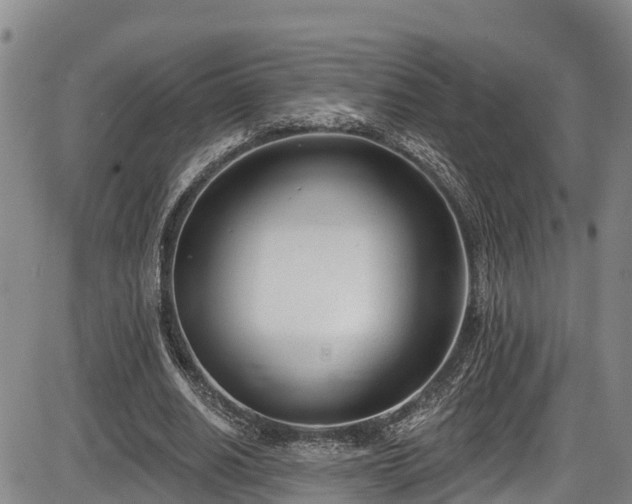 X0000086070630200703301107