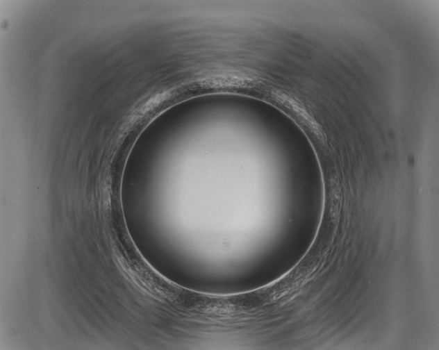 X0000086070631200703301107