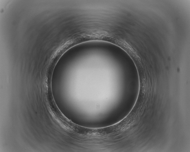 X0000086070634200703301107
