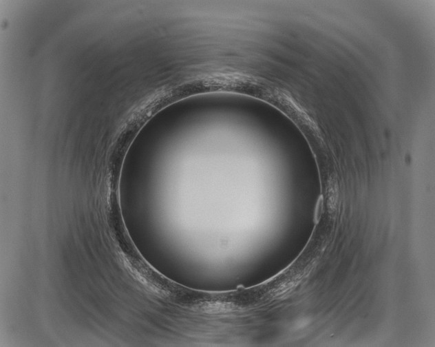 X0000086070637200703301107
