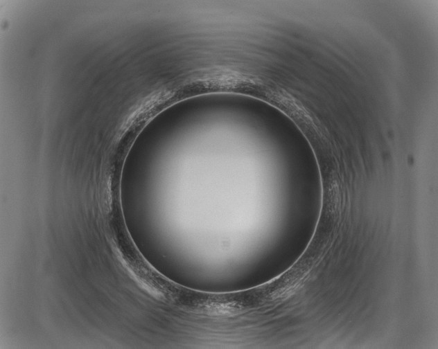 X0000086070638200703301107