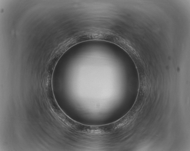 X0000086070645200703301107