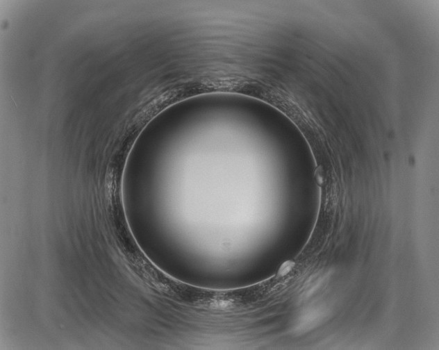 X0000086070647200703301107