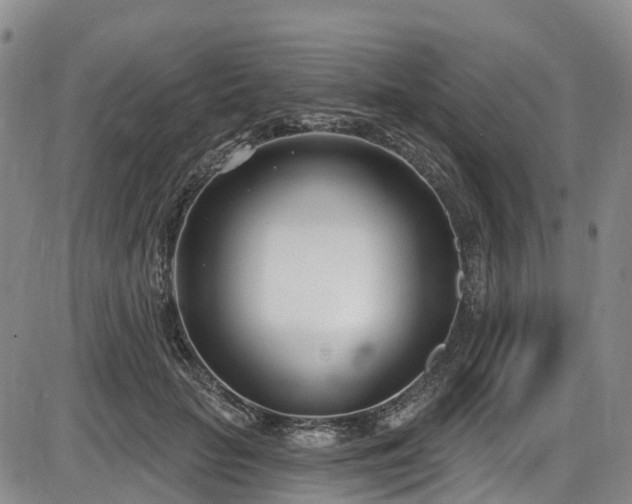 X0000086070653200703301107