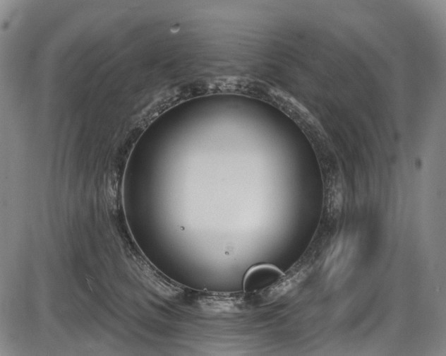 X0000086070661200703301108