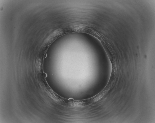X0000086070664200703301108