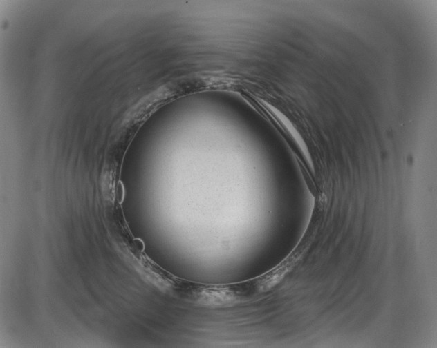 X0000086070666200703301108
