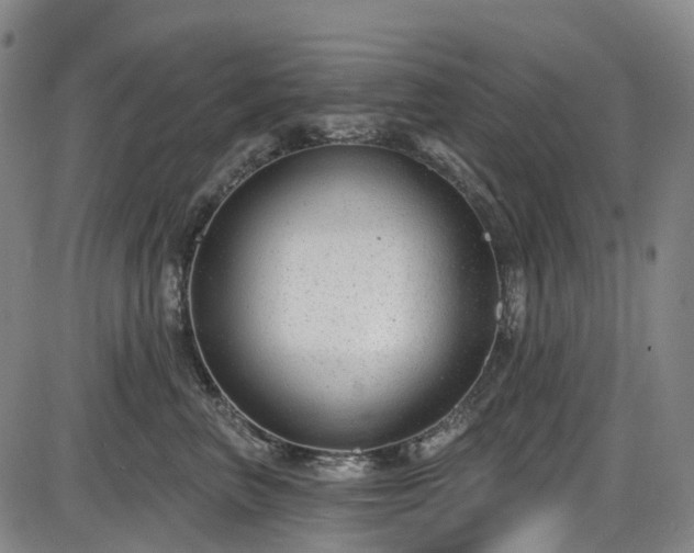 X0000086070667200703301108