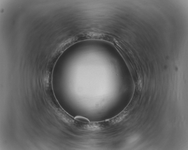 X0000086070668200703301108