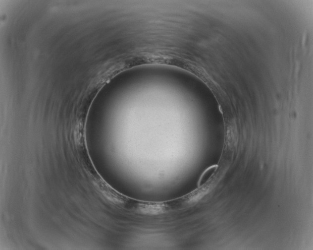 X0000086070671200703301108