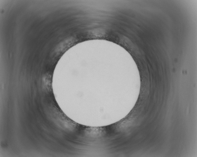 X0000086070672200703301108