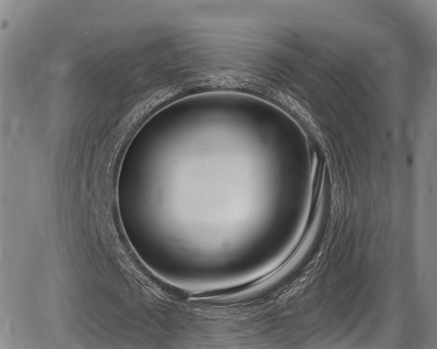 X0000086070673200703301107