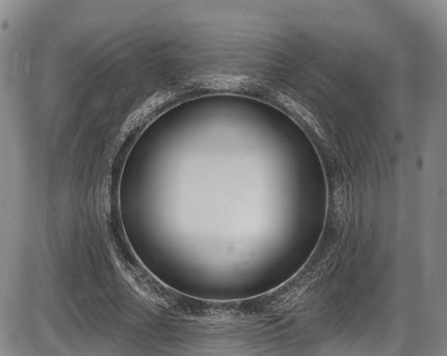 X0000086070682200703301107