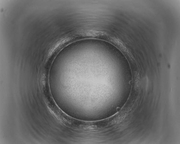 X0000086070683200703301107