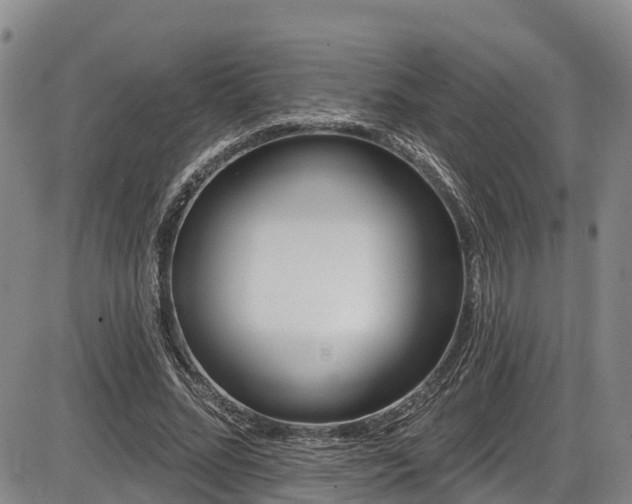 X0000086070684200703301107