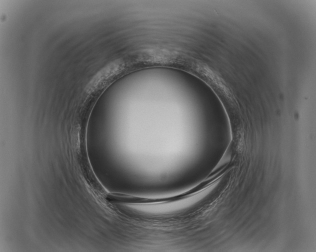 X0000086070685200703301107